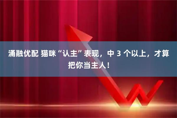 涌融优配 猫咪“认主”表现，中 3 个以上，才算把你当主人！